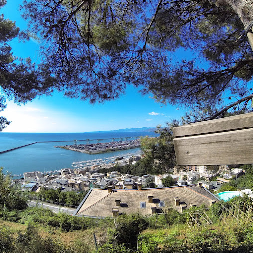 Guarda tutte le foto